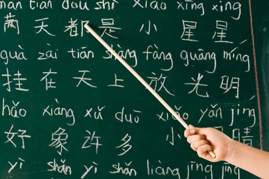 essay about learning chinese language